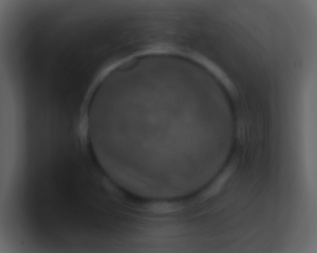 X0000100921366200807081141