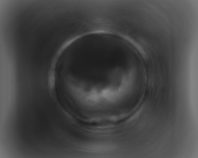 X0000100921367200807081141