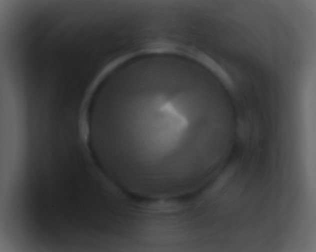 X0000100921368200807081141