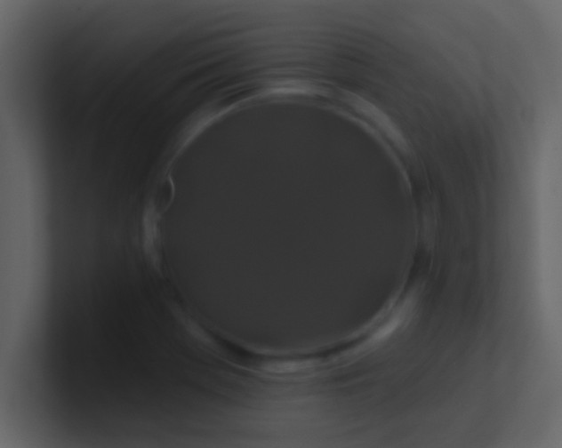 X0000100921369200807081141