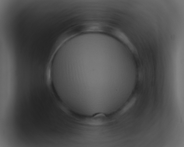 X0000100921370200807081141