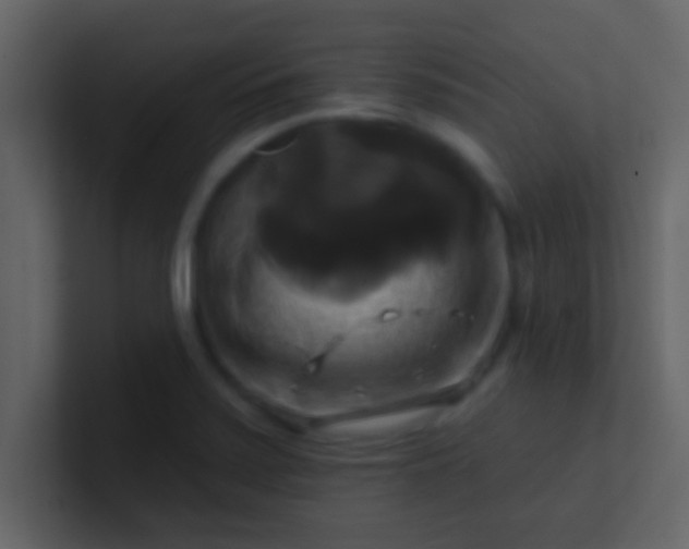 X0000100921371200807081141