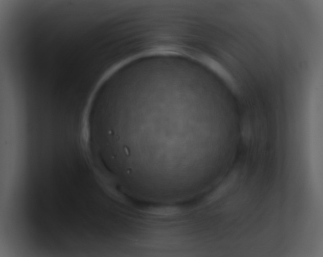 X0000100921372200807081141