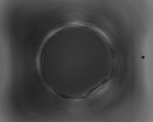 X0000100921373200807081141