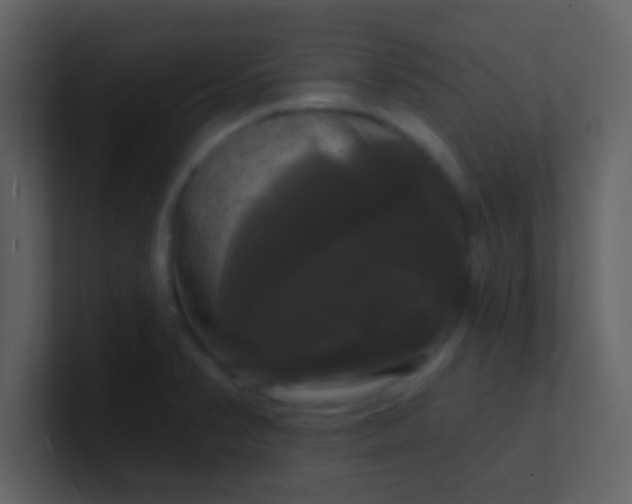 X0000100921374200807081141