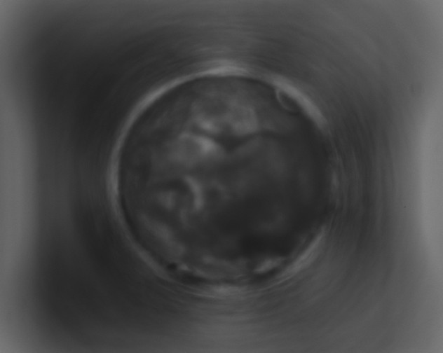 X0000100921375200807081141