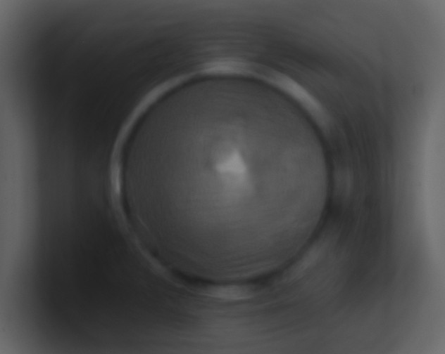 X0000100921376200807081141