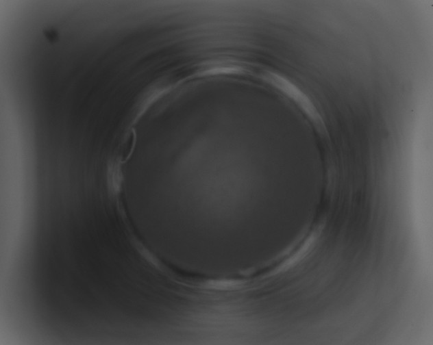 X0000100921377200807081141