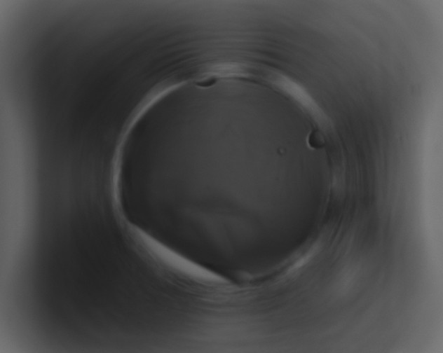 X0000100921378200807081141