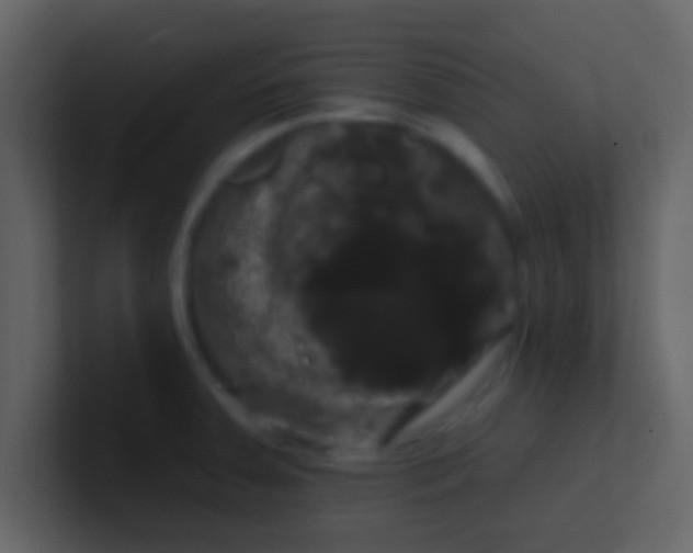 X0000100921379200807081141