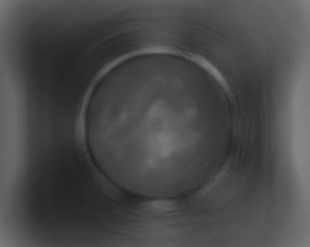 X0000100921380200807081141