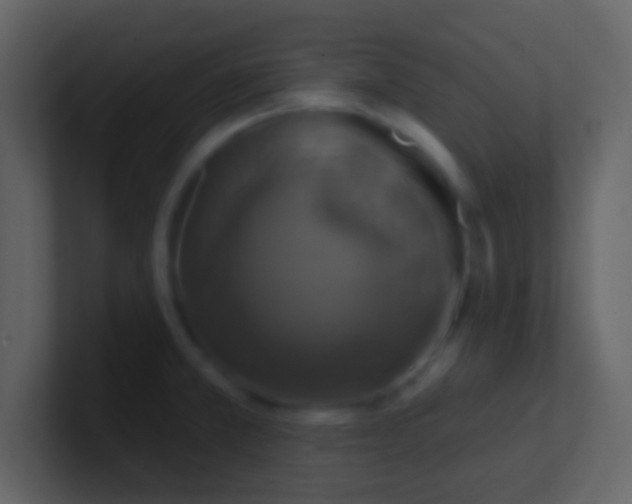 X0000100921381200807081141