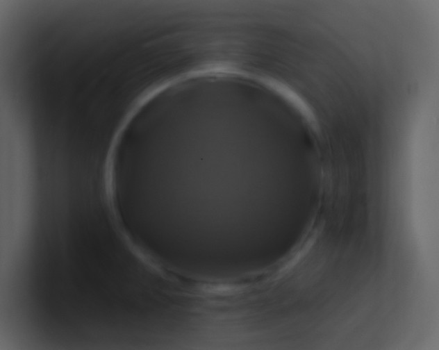 X0000100921382200807081141