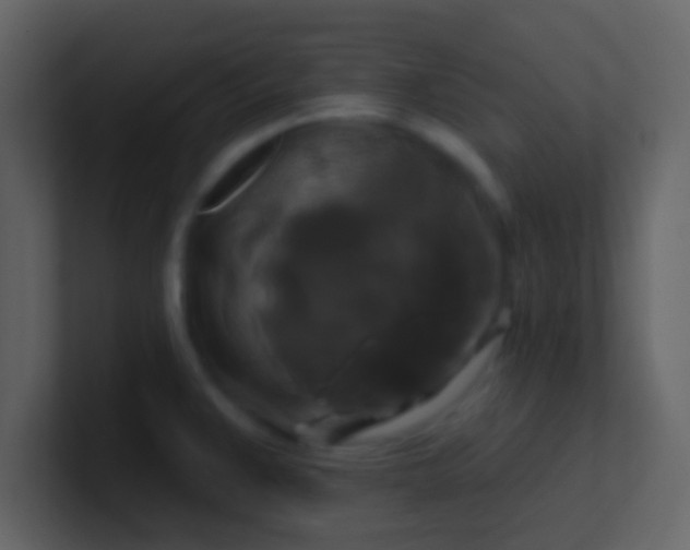 X0000100921383200807081141