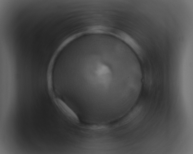 X0000100921384200807081141