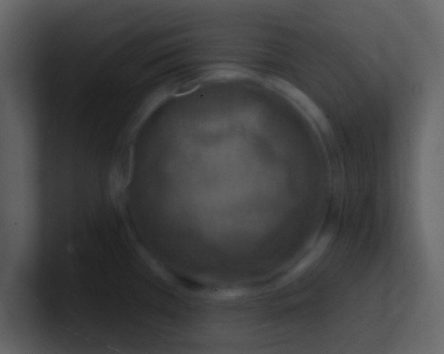 X0000100921385200807081141