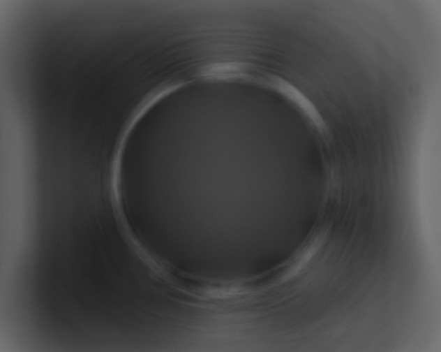 X0000100921386200807081141