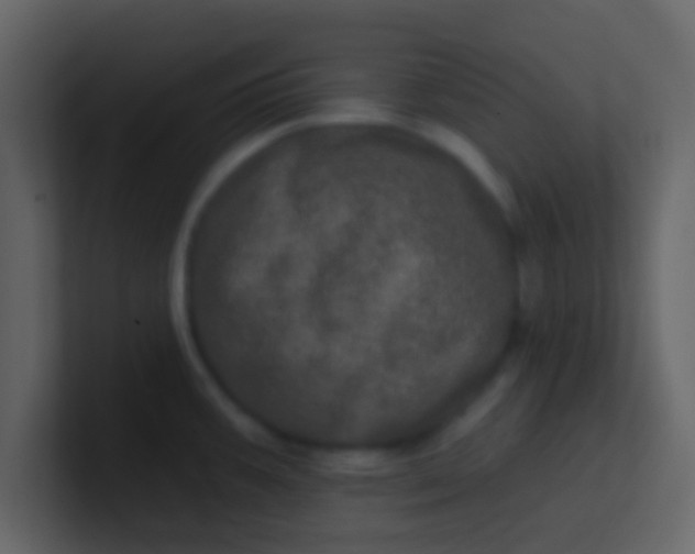 X0000100921387200807081141