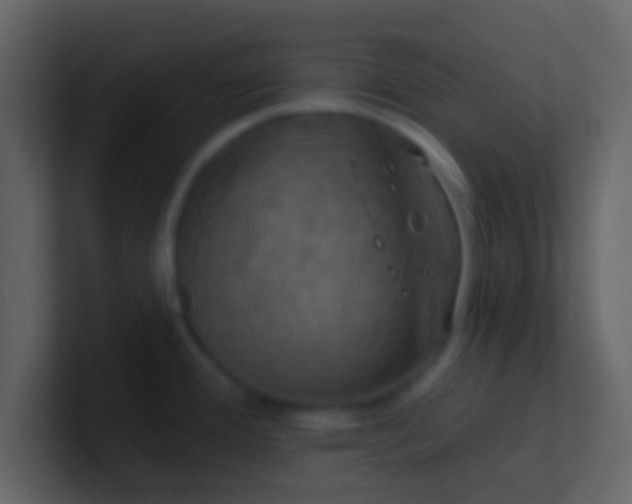 X0000100921388200807081141