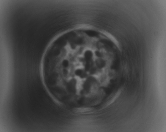 X0000100921391200807081141