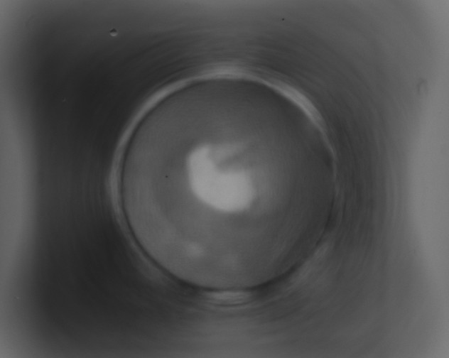 X0000100921392200807081141