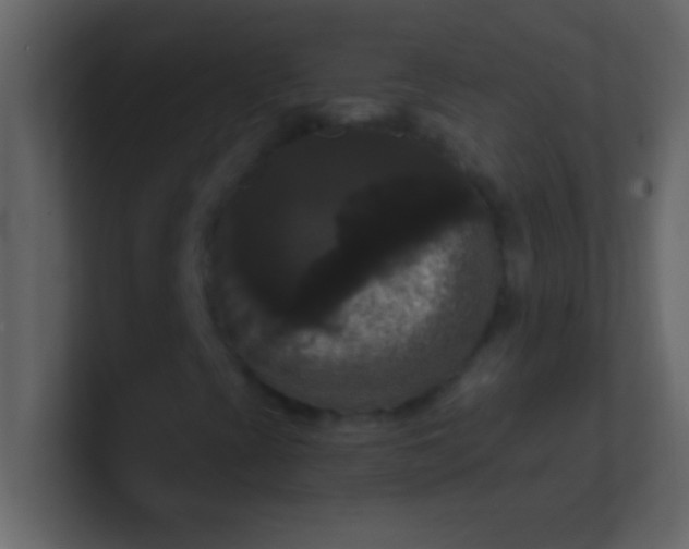 X0000100921393200807081140