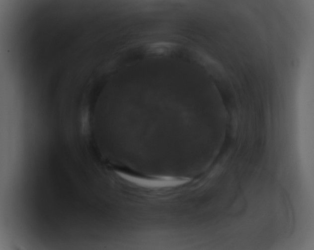 X0000100921394200807081140