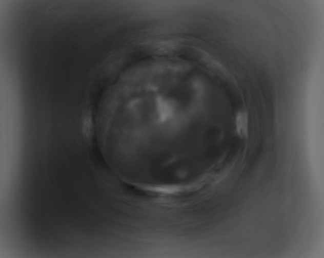 X0000100921395200807081140