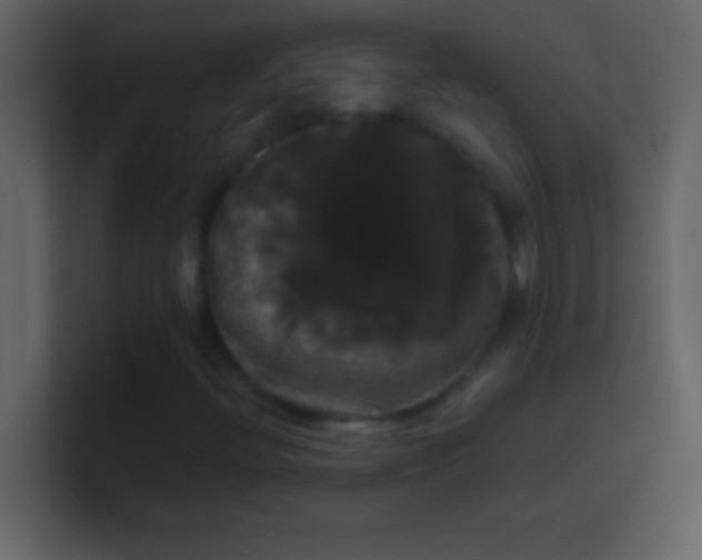 X0000100921396200807081140