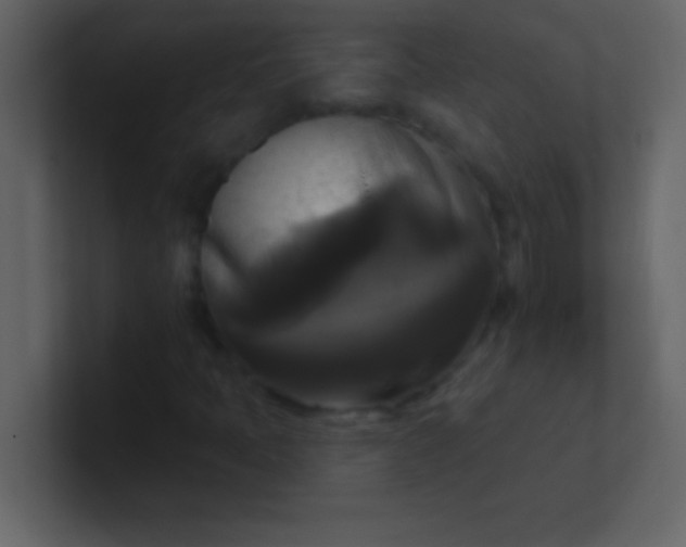 X0000100921397200807081141