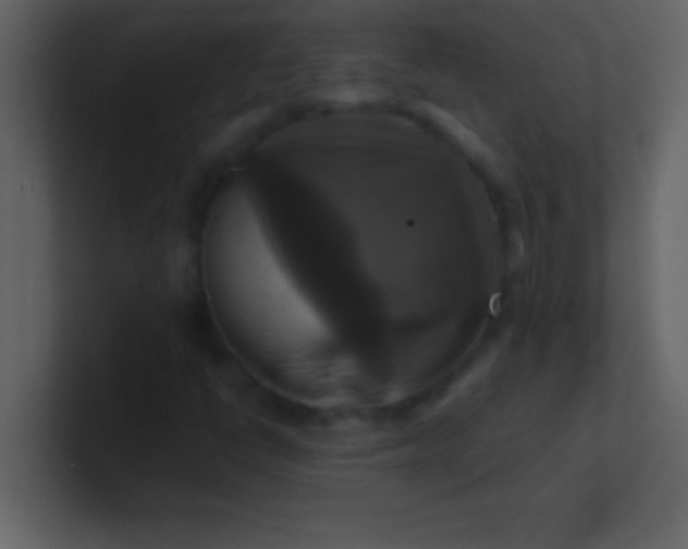 X0000100921398200807081141