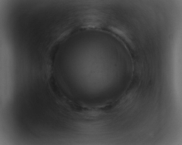 X0000100921399200807081141