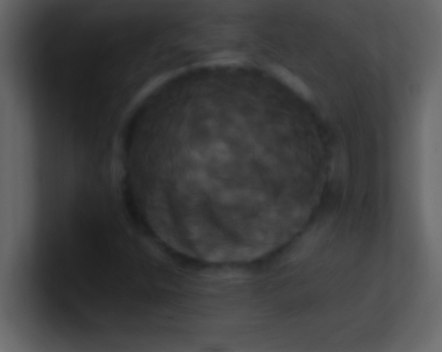 X0000100921400200807081141