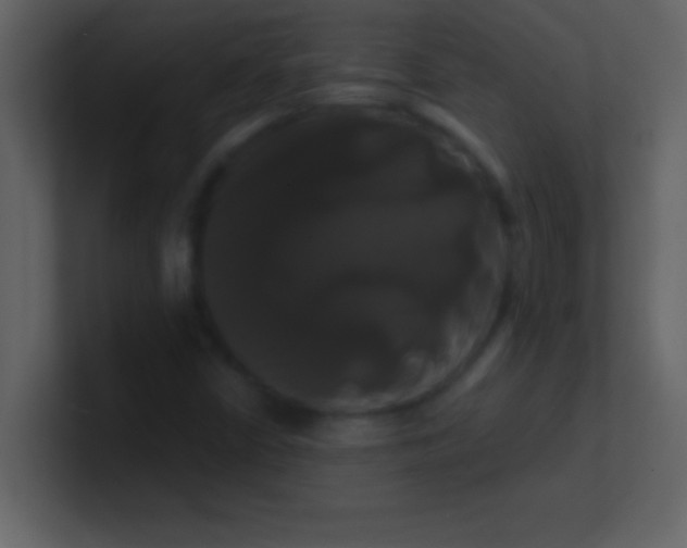 X0000100921402200807081141