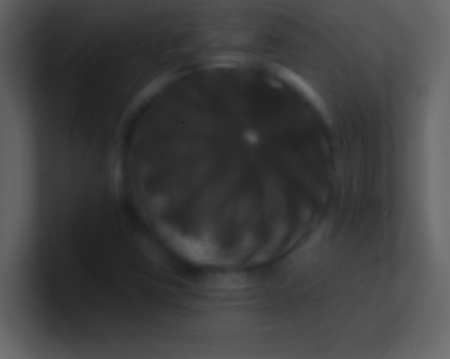 X0000100921403200807081141