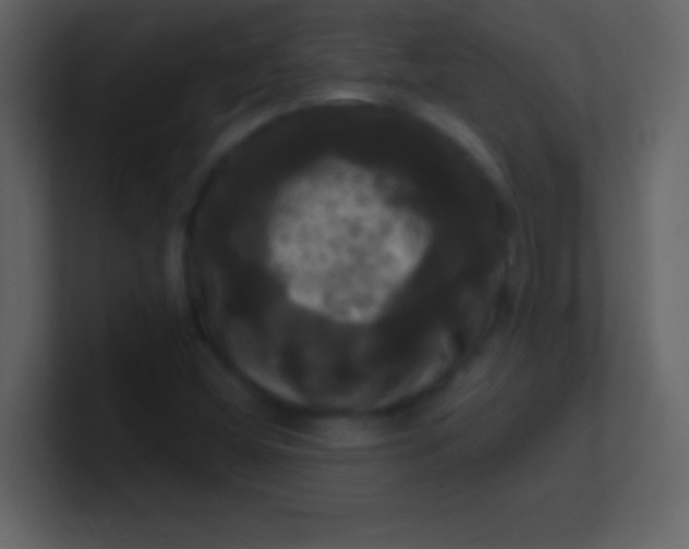 X0000100921404200807081141