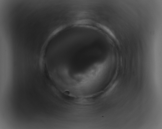 X0000100921405200807081141