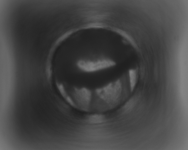 X0000100921406200807081141