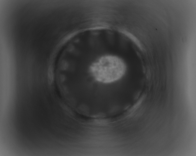 X0000100921407200807081141