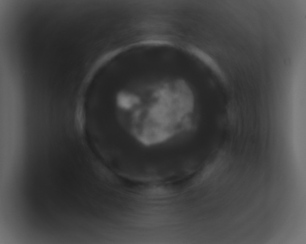 X0000100921408200807081141