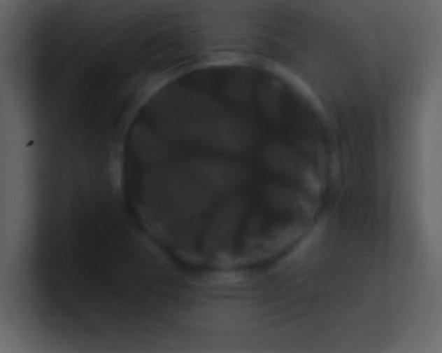 X0000100921409200807081141