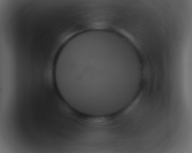 X0000100921410200807081141