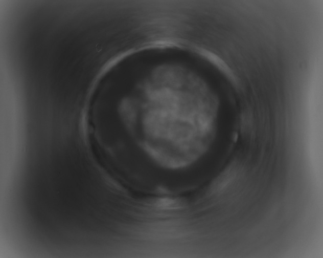 X0000100921412200807081141