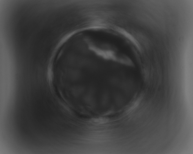 X0000100921415200807081141