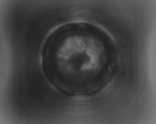 X0000100921416200807081141