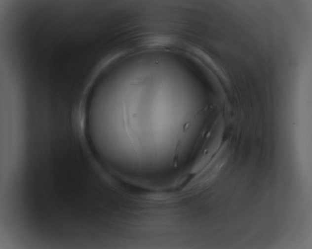 X0000100921418200807081141