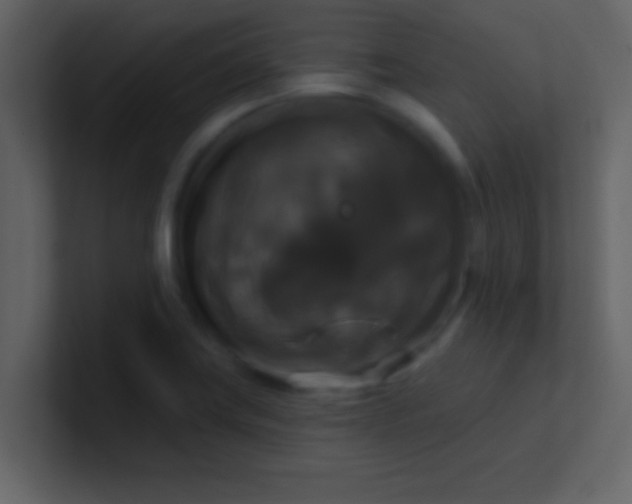 X0000100921419200807081141