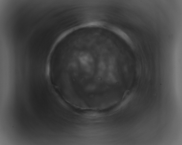 X0000100921420200807081141