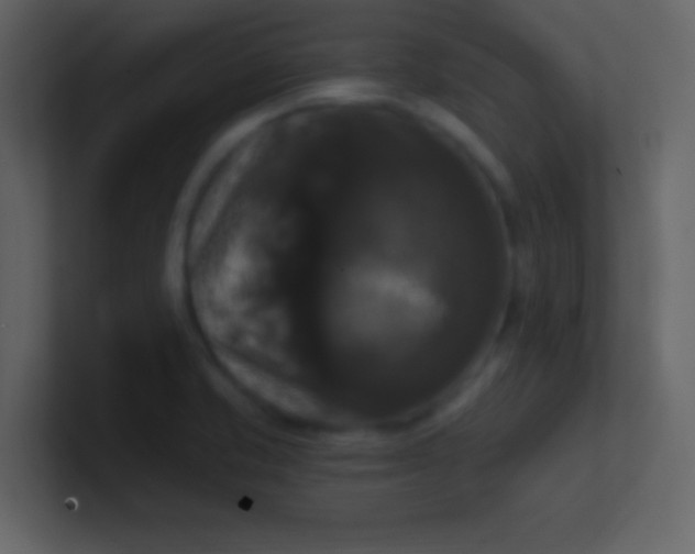 X0000100921421200807081141