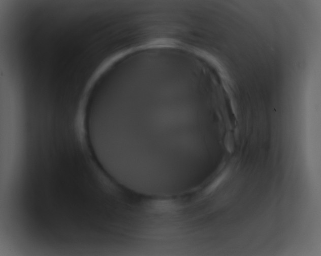 X0000100921422200807081141